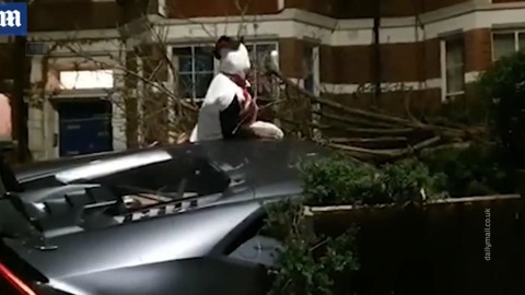 В Лондоне футболист в костюме снеговика разбил Lamborghini