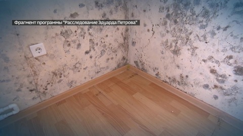 СК проверит липецких и красноярских чиновников, ответственных за выделение жилья сиротам