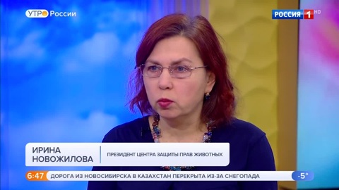 Эфир от 24.01.2020 (05:00)