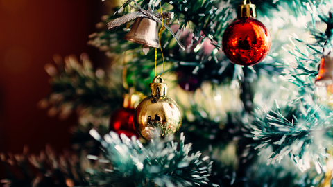 Первые елочные базары откроются в Подмосковье 2 декабря