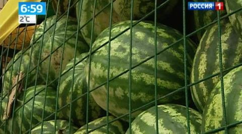 Деликатесы: суп из арбуза