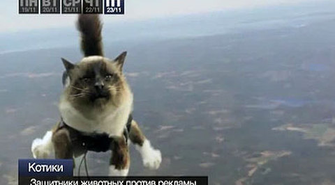 Эфир от 24.11.2012