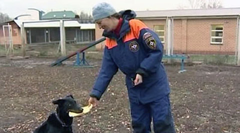 "Созвездие мужества": четвероногие герои МЧС