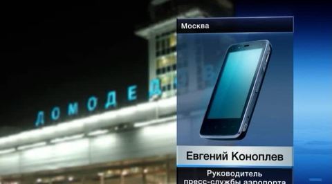 Непогода задержала десятки рейсов в столичных аэропортах