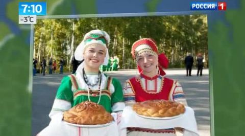 Ярославль - родина хрена
