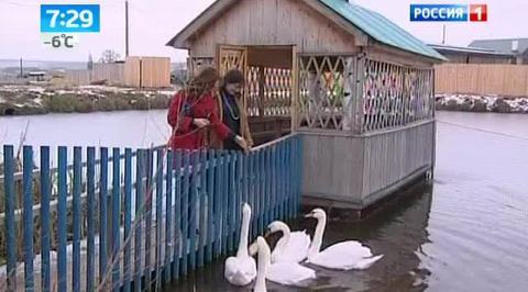 5 звезд сельского туризма