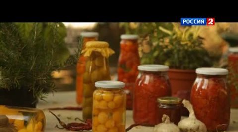 Вечная жизнь. Объявляем голодовку или Что есть?