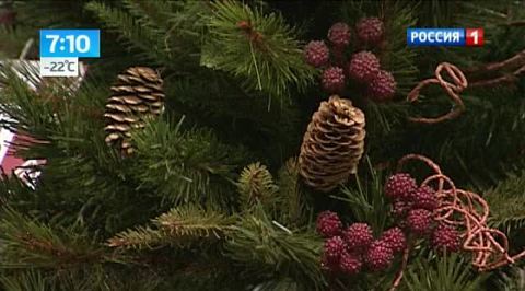 Эфир от 24.12.2012