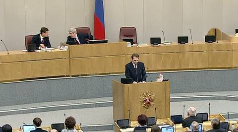 Дума обсуждает события в Западном Бирюлеве