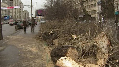 Порывы ветра принесли в Москву судебные иски