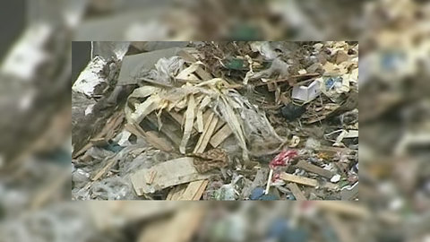 Пригородам Петербурга грозит мусорный коллапс