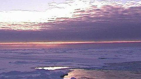 Мини-НАТО будет присматривать за русскими в Арктике