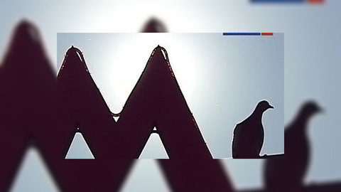 Московское метро оказалось слишком дорогим для мэра