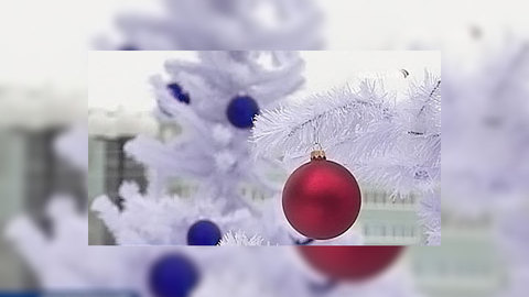 Россияне провожают кризисный год счастливыми. "Экономика. Итоги"
