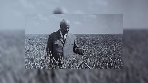 Хрущев хотел побудить японцев к самостоятельности. История с Андреем Светенко
