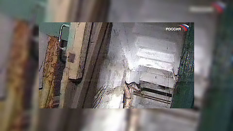 В Москве обнаружен подпольный зоопарк