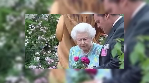 Британская королева пыталась погреться за счёт бедняков