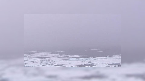 Россия продолжит борьбу за ледяную пустыню