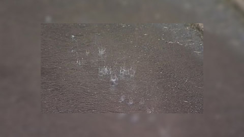 Польша вязнет в растопленном асфальте