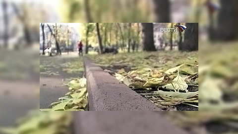 Петербургские депутаты отдали под застройку более ста скверов