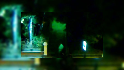 Панк-концерт в "Точке" закончился поножовщиной