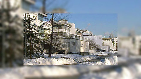 Решение по "Острову фантазий" примут после проверки