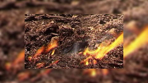 Из-за обводнения торфяников могут пострадать дачники