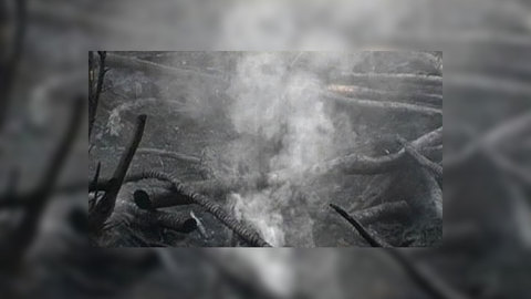 Региональные власти стали главными "двоечниками" этого лета