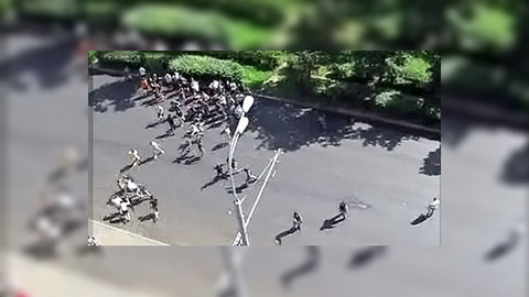 В деле Кашина появились ультрас