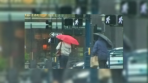 Жену Арнольда Шварценеггера уличили в незаконных телефонных разговорах
