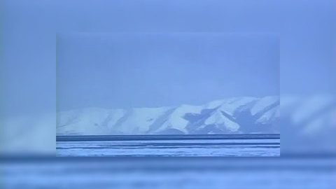 Туристы подались на север