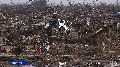 Рыбы и птицы предупреждали Японию о страшной трагедии