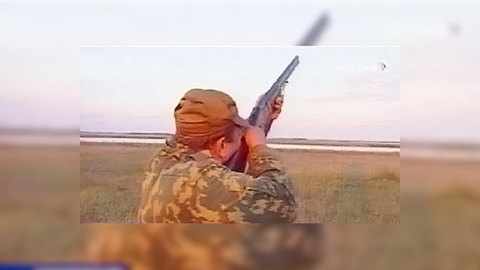 VIP-браконьеры избежали наказания