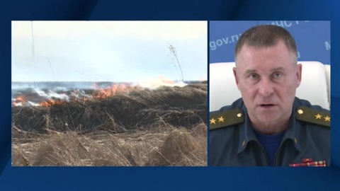 Из-за аномально теплой зимы на большей территории России пожароопасный сезон начался раньше