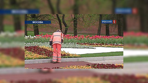 Чиновники учатся жить лучше