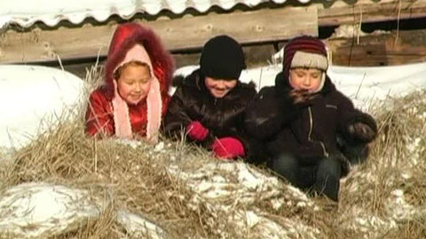 Нежданные каникулы нарушили планы многих семей