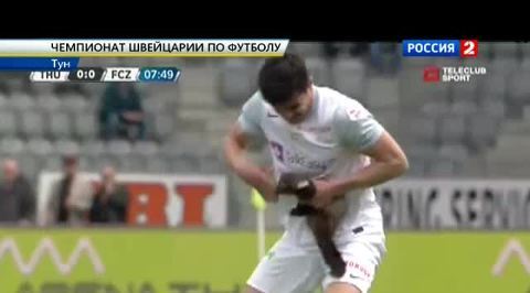 Куница укусила футболиста во время матча. Видео