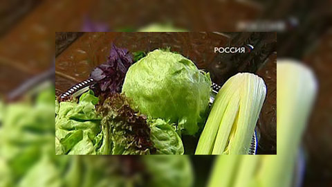 Венский овощной оркестр исполнил москвичам "капустный эмбиент"