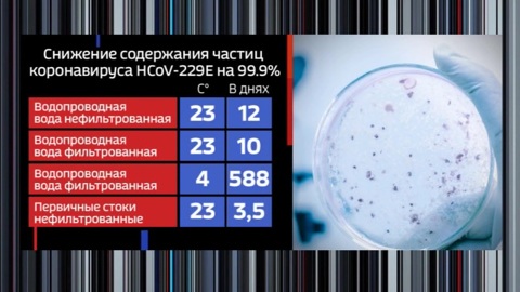 В системе водоснабжения Парижа обнаружили коронавирус