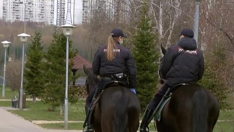 В Москве стали штрафовать за несоблюдение социальной дистанции в общественном транспорте