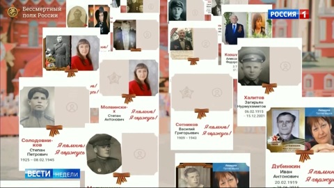 "Это не шуточки": осквернителей "Бессмертного полка" требуют покарать
