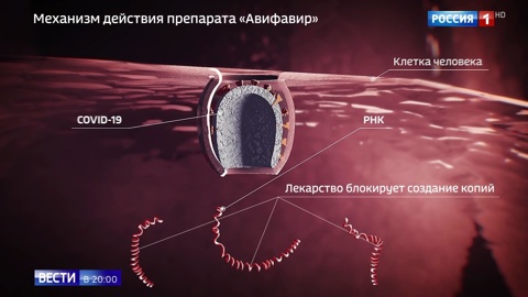 Эфир от 01.06.2020