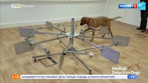 Эфир от 30.05.2020