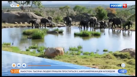 Эфир от 09.06.2020 (05:00)