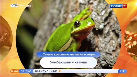 Эфир от 13.06.2020