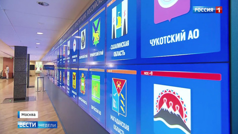 Голосование по поправкам: у российской системы аналогов в мире нет