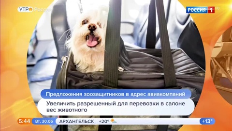 Эфир от 30.06.2020 (05:00)
