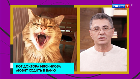 Можно ли ходить в баню с животными?