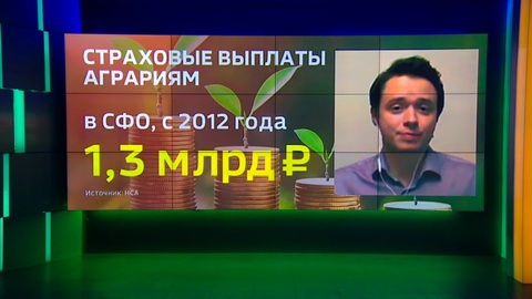 Засуха 2020 года: примерный экономический ущерб