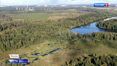 Вход в парк "Лосиный Остров" остается бесплатным